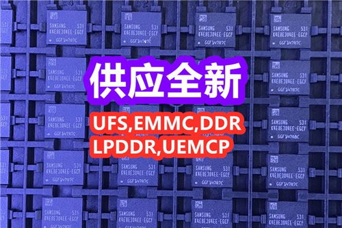 聚焦集路科技 探索電子產品營銷的新生態與增長機遇